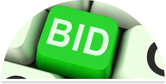 Auction bidding consultation